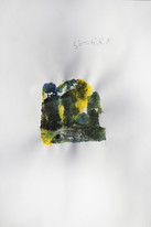 CDLY P Cy T IMG_0001.jpg