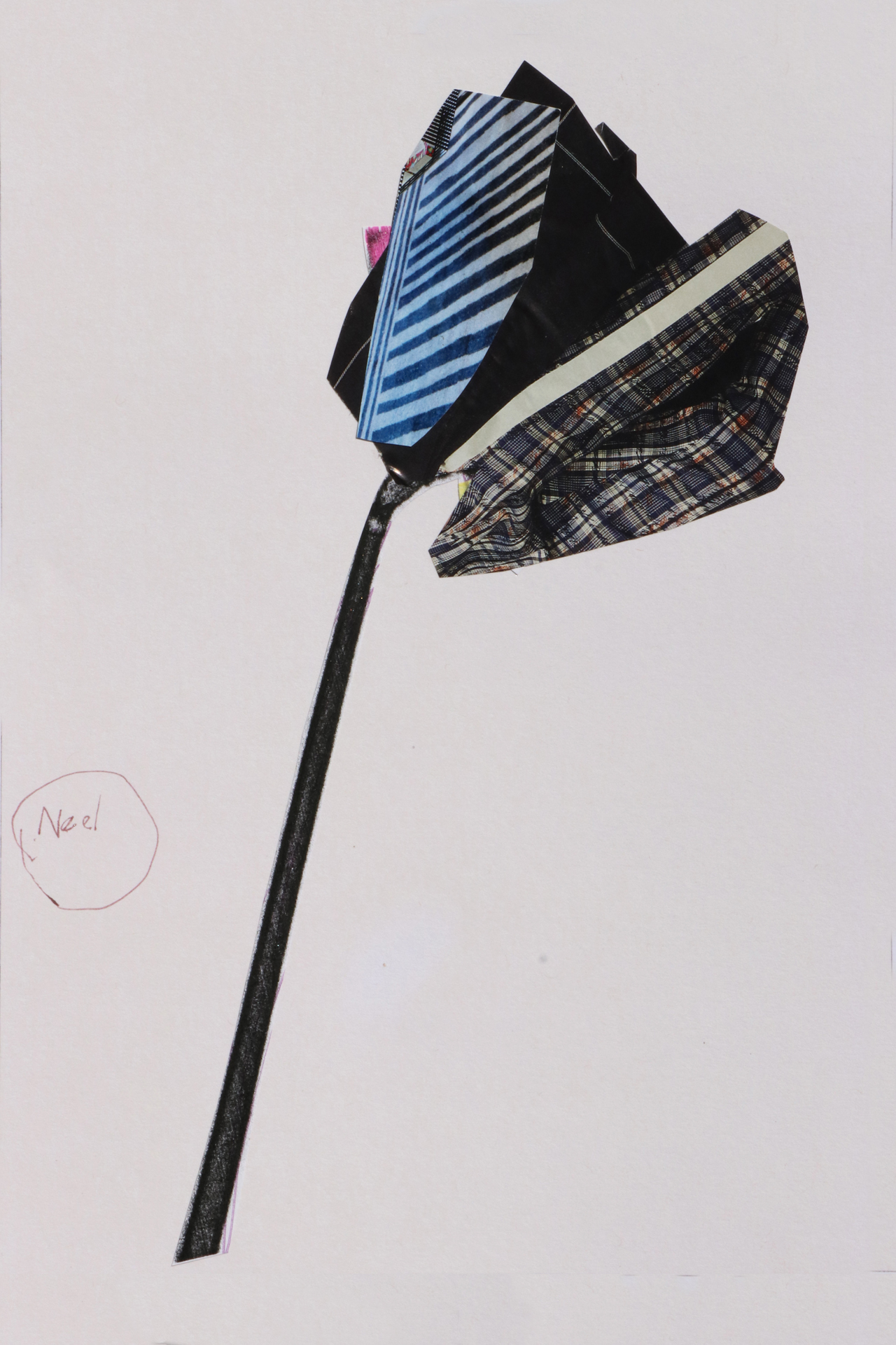 CDLY P Daffodil IMG_9043.jpg