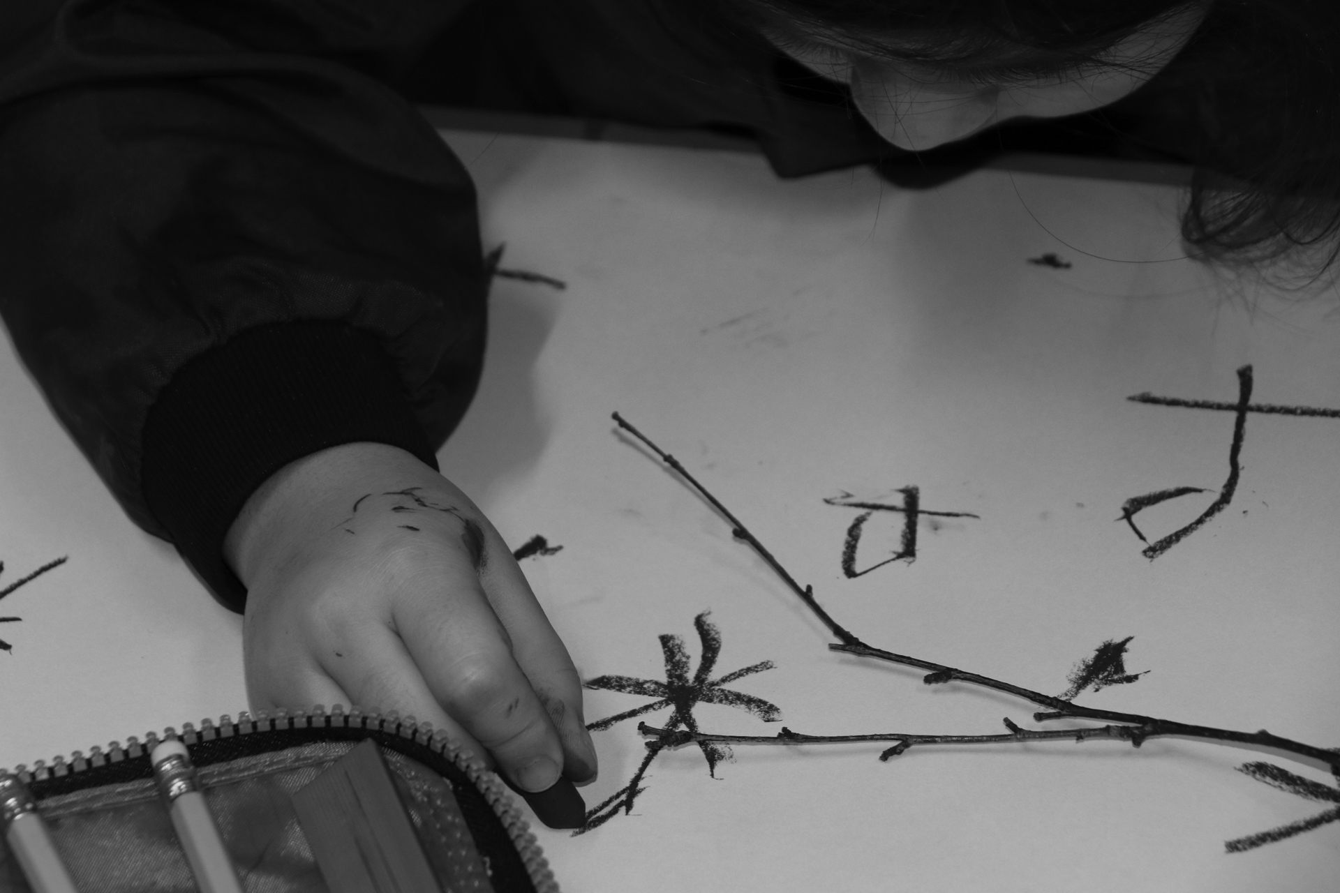 CDLY P Twigs IMG_7854.jpg