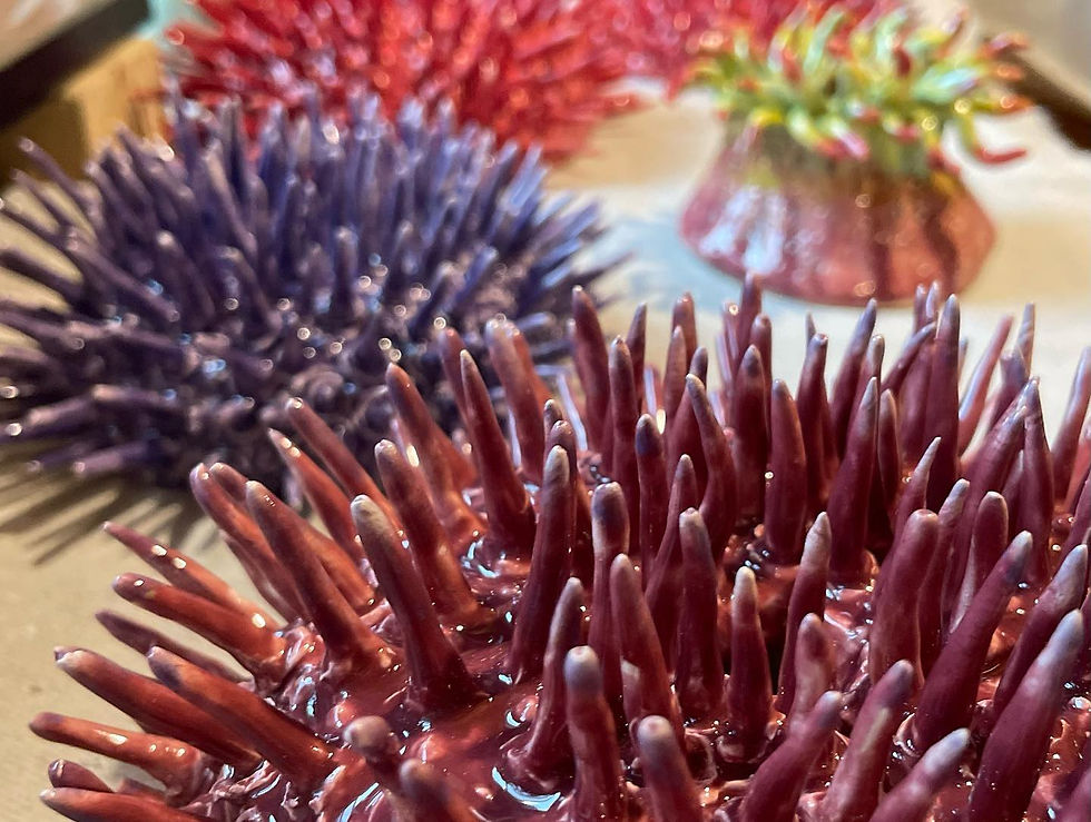 Thumbnail: Spiney Sea Urchin