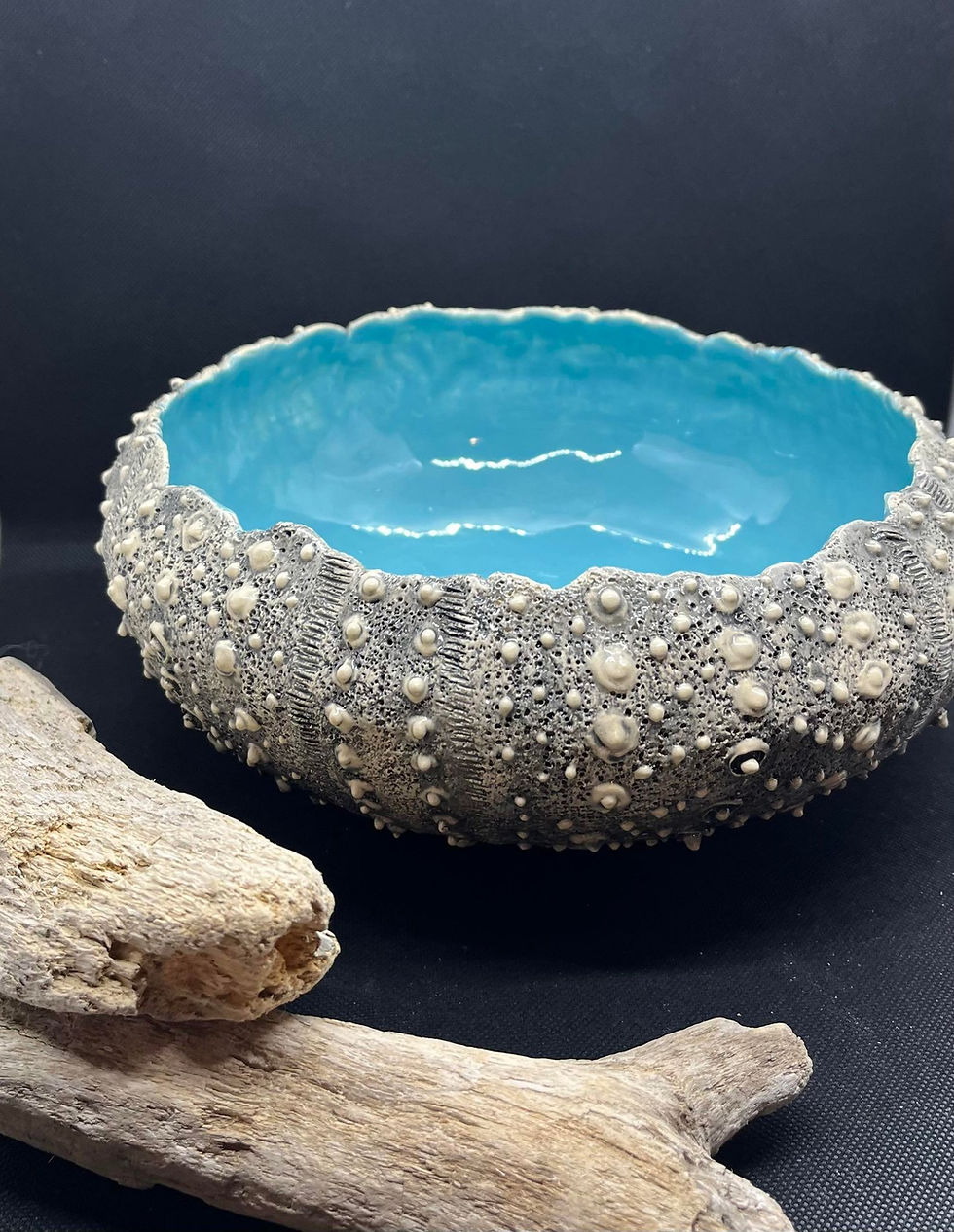 Small Sea Urchin bowls