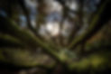 133652856_3721957881175921_642050624085162698_n-2.jpeg