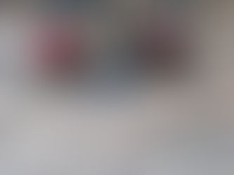 JOURNÉE NATIONALE du SOUVENIR FRANÇAIS