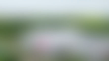 Tecnologia, inovação e sustentabilidade