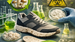 Estudo da aplicação de agentes fúngicos em componentes para calçados visando a minimização de impactos de contaminação