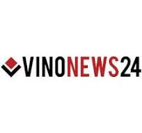 vinonews24-2048x481.webp