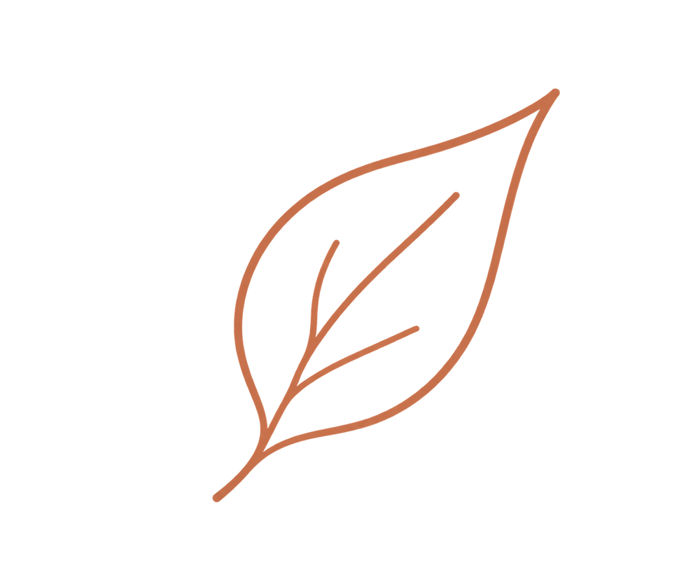 feuille 2.png