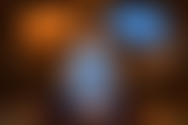 A Three Brain Approach to Understanding the Human Being