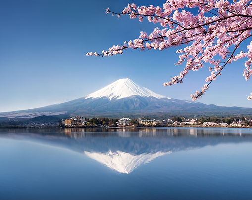 Cherry blossom and Mount Fuji reflected in a lake in Japan