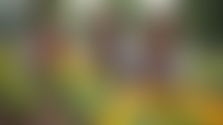 Inspiring Change: Young Leaders' Impact on Minority Girls