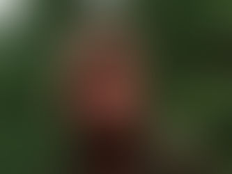 "Adiós al Indestructible: Las 10 Mejores Películas de Chuck Norris (1940-2026)