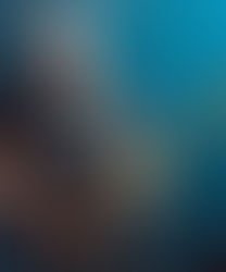 Récord histórico: la Black Strat de David Gilmour se vende por 14.55 millones de dólares y  es la guitarra más cara jamás subastada