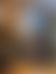 La Plata/Argentina tiene su propio ‘Gracias Totales’: el bar que es museo, terapia y ritual para fans de Gustavo