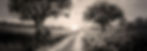 HG CLUE 3_2300 x 800 site banner.jpg