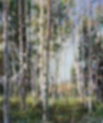 Aspens of the West 20x24