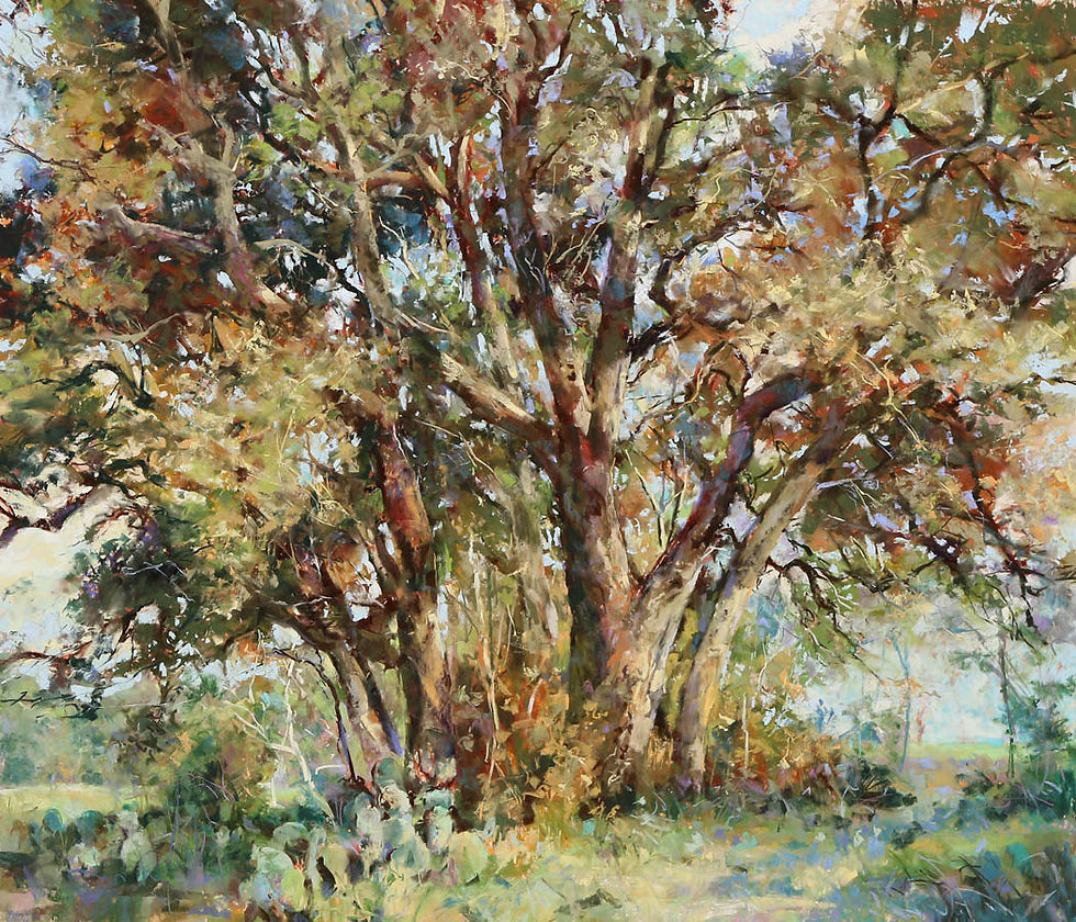 Great Texas Oaks 26x30