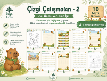 Çizgi Çalışmaları - 2