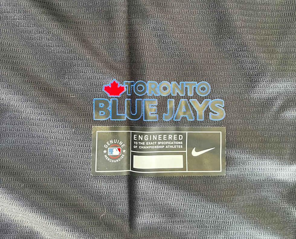 Thumbnail: Toronto Blue Jays Black Connect 2026 Nike Baseball Jersey