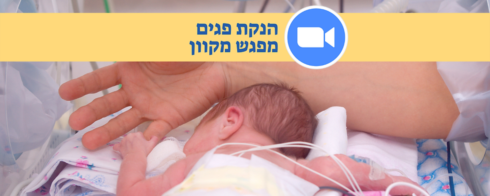 מפגש בנושא הנקת והזנת פגים (ישן)