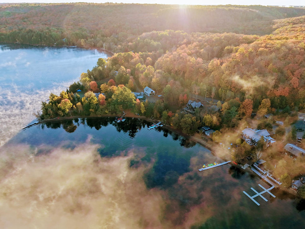 Foggy fall aerial shot