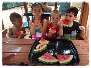 BCA's Summer Camp 2015