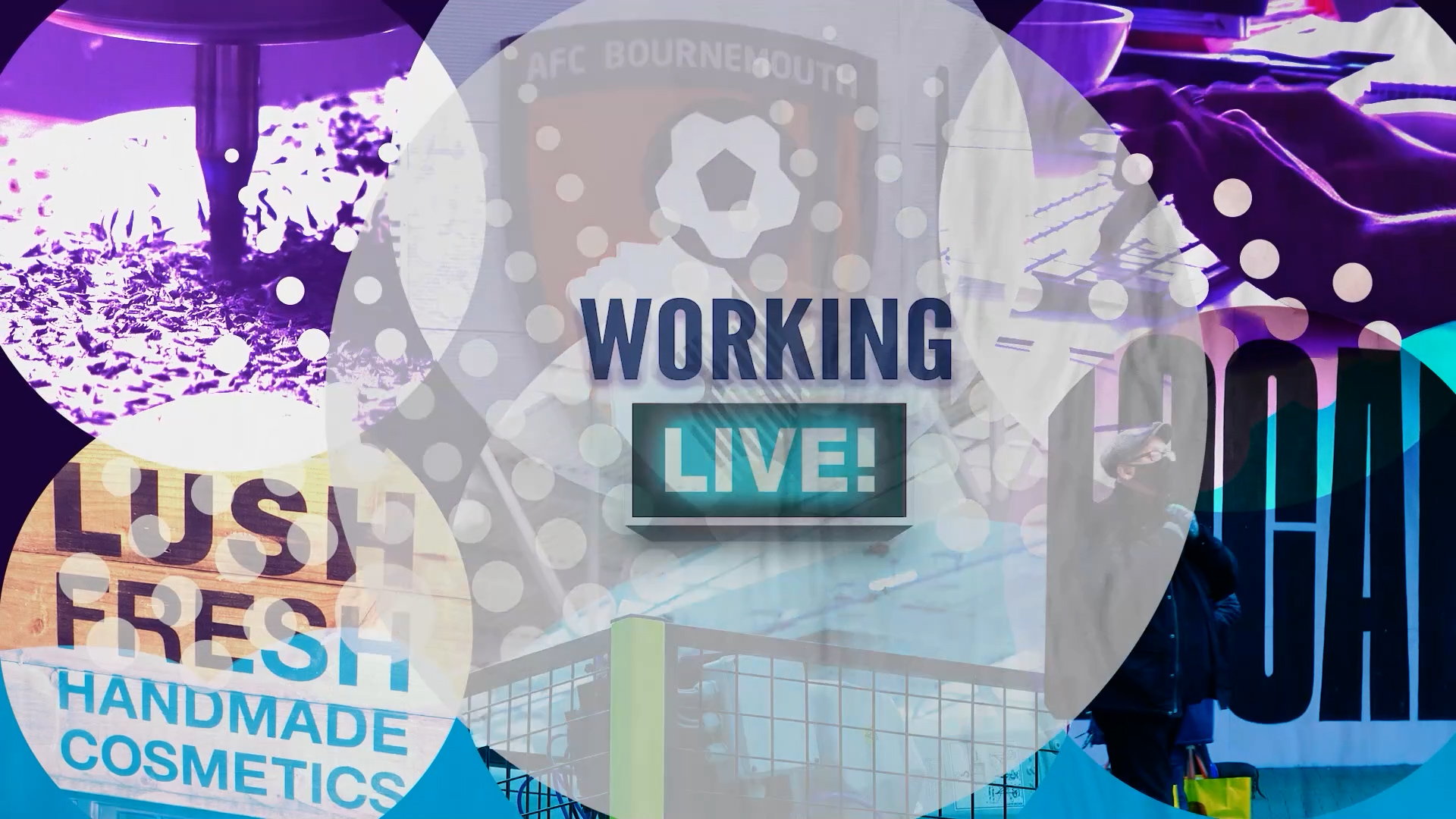 Web Business Programme Motion Graphics - Local Government