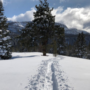 IMG_3100.jpeg