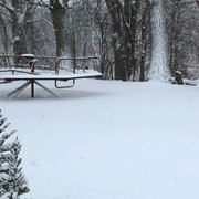 IMG_0927.jpeg