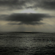 IMG_1784.jpeg