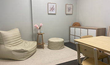 therapy room.heic