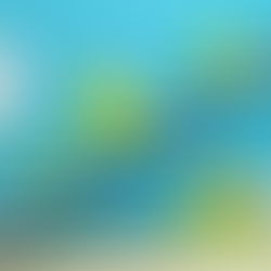 Transfer-Sicherung: Was zwischen den Workshops passiert