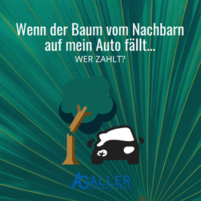 Wenn der Baum vom Nachbarn auf mein Auto fällt...