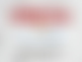 Audiência Pública sobre o Reajuste dos Servidores