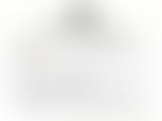 Sinsdetran/MA apresenta Pauta de Reivindicações aprovada em Assembleia à Diretoria do Detran