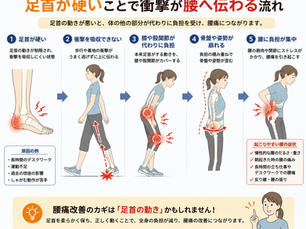 足首の硬さと腰痛の関係