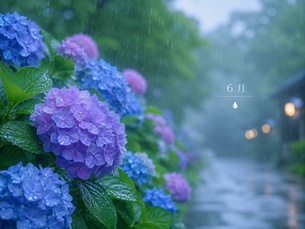 6月