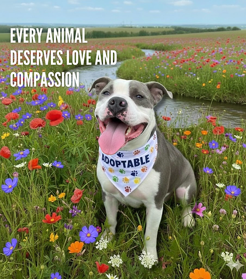 Every animal deserves love and compassion.PNG