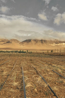 Projet agriculture bio maroc