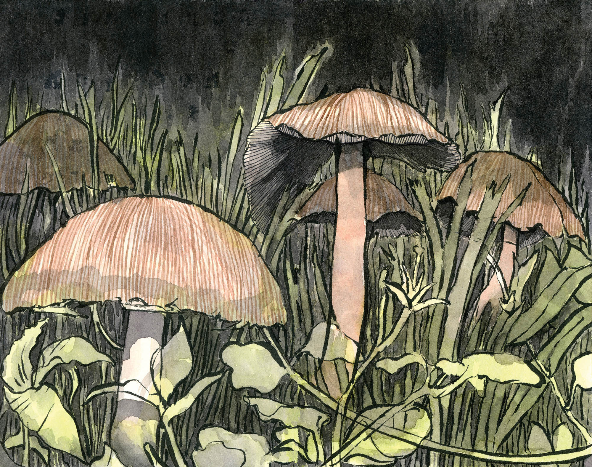 mushrooms poster
