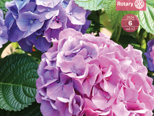 ガバナー月信　2024年6月号をアップしました