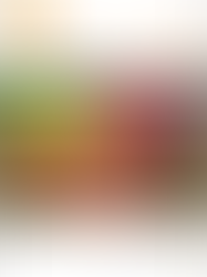  ガバナー月信　2025年11月号をアップしました