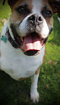 IMG_5211.jpeg