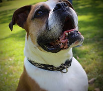 IMG_5148.jpeg