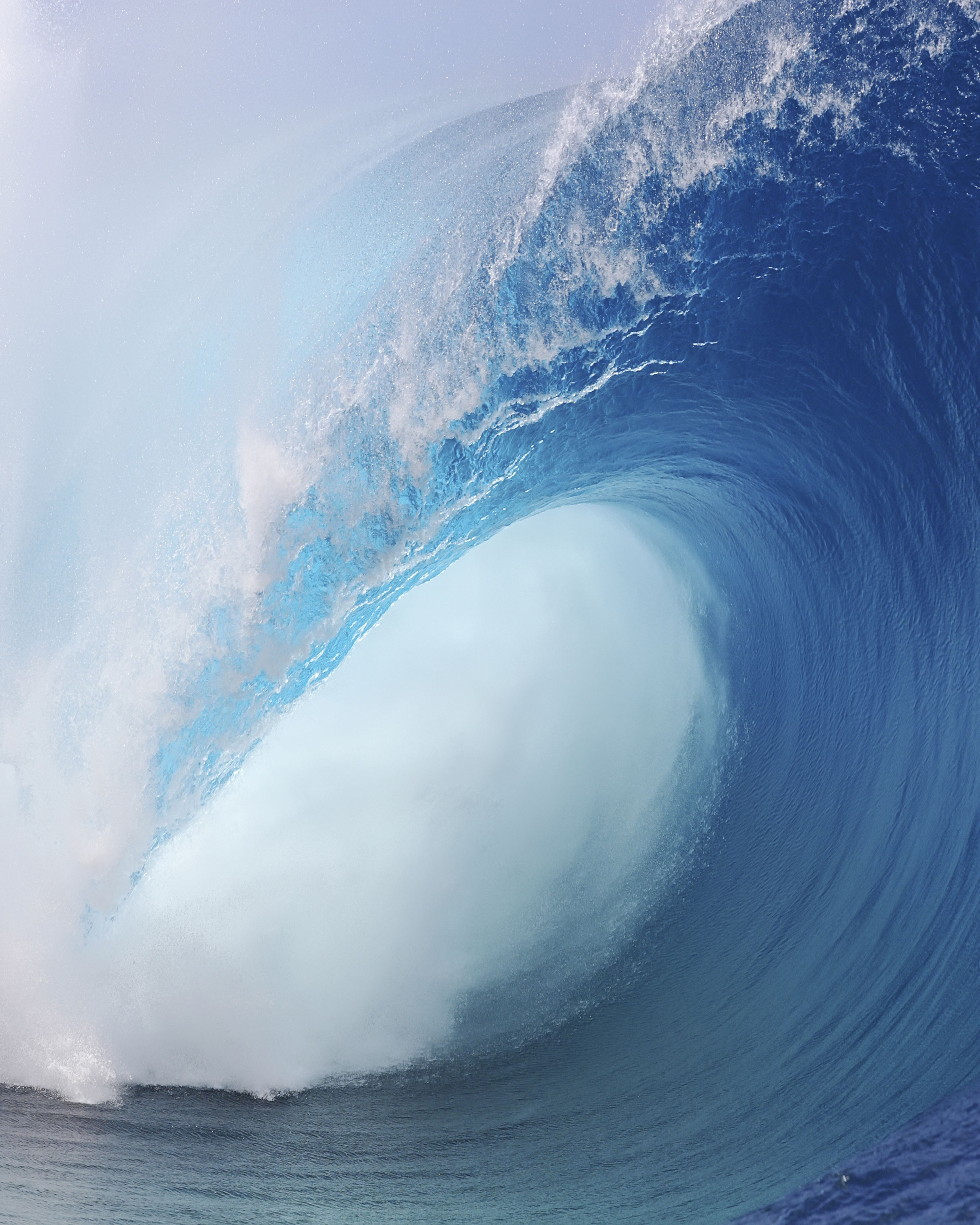 Website Maintenance Portfolio | Next Wave Services | Charlotte NC
