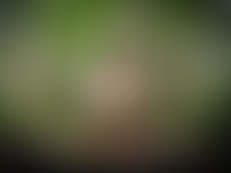 Dolly - courtesy Shudder