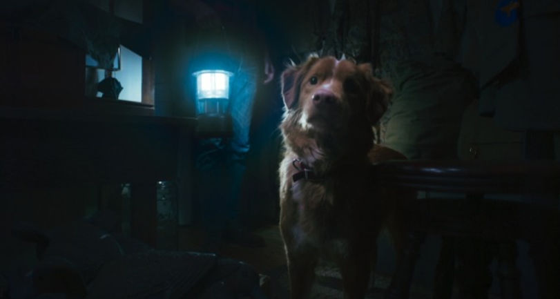 Good Boy writer and director Ben Leonberg will be helming Sony's Ankle Snatcher