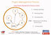 Project Management Process