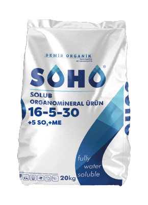 SOHO 16-5-30
