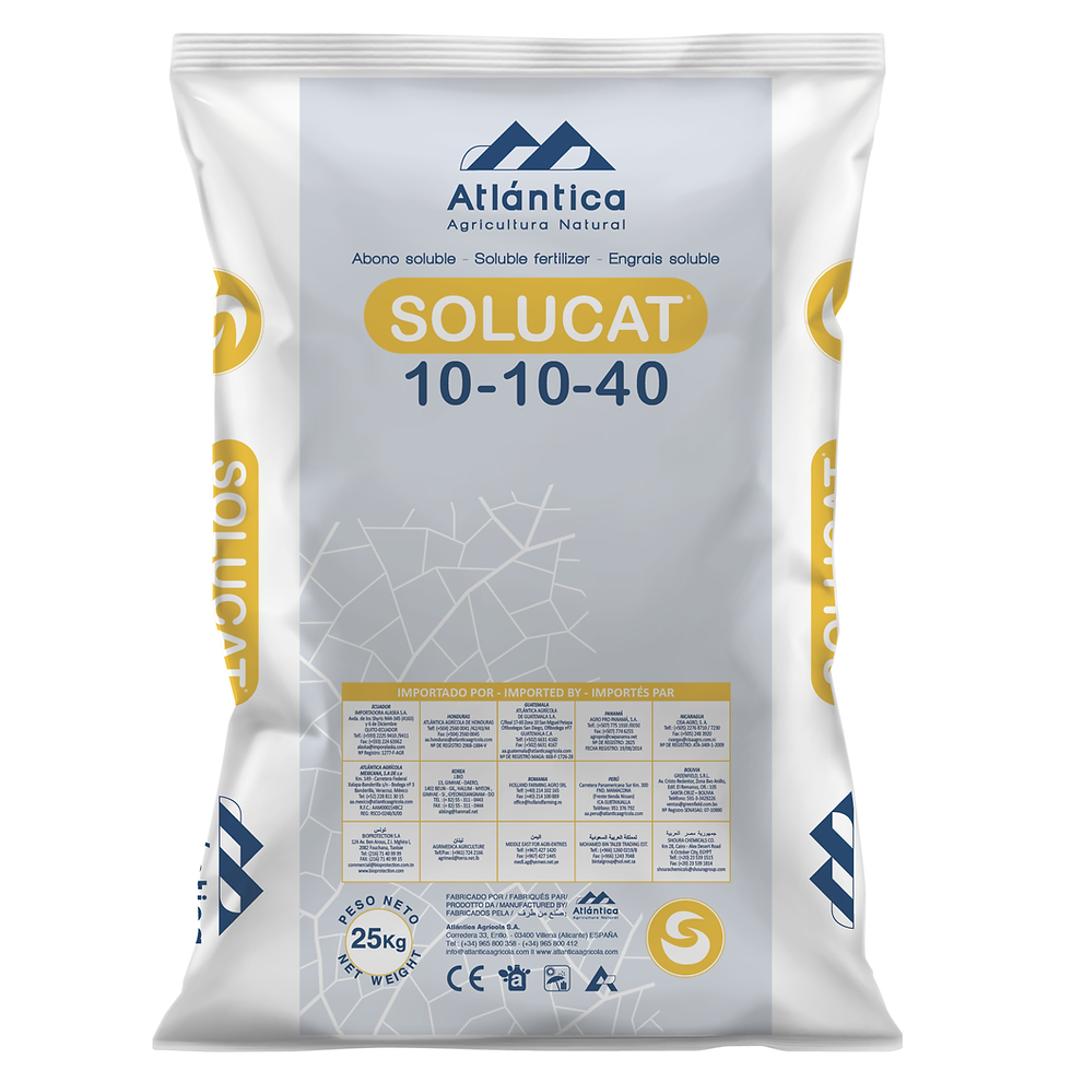 Atlantica Solucat 10-10-40