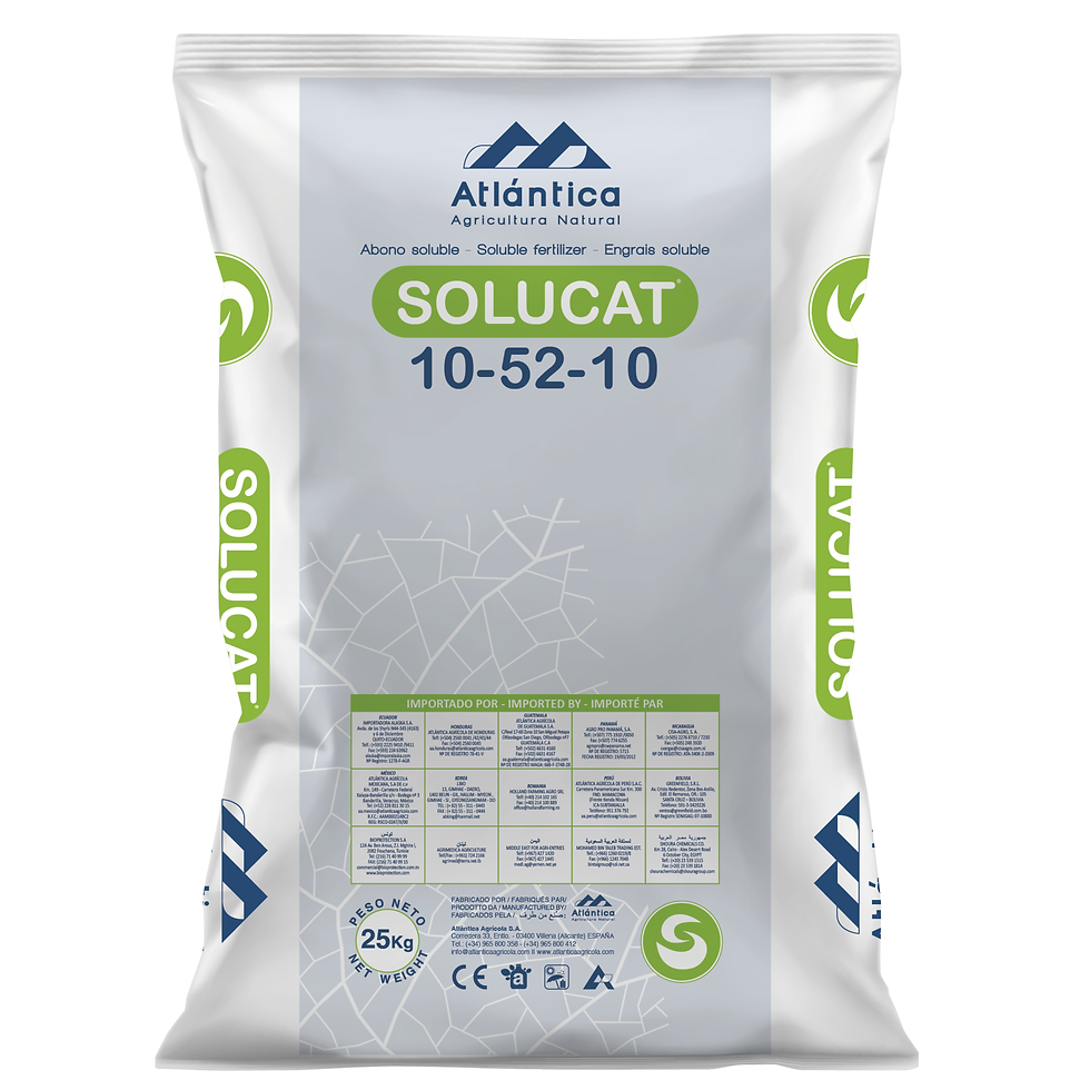 Atlantica Solucat 10-52-10
